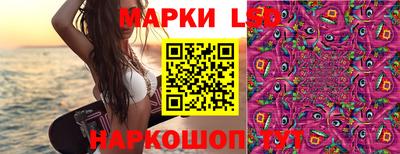 стаф Апшеронск