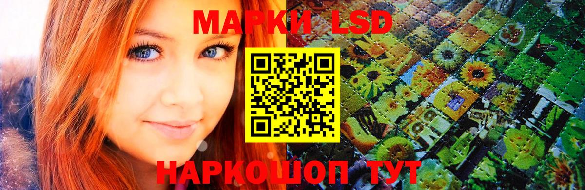 MDMA Михайловск