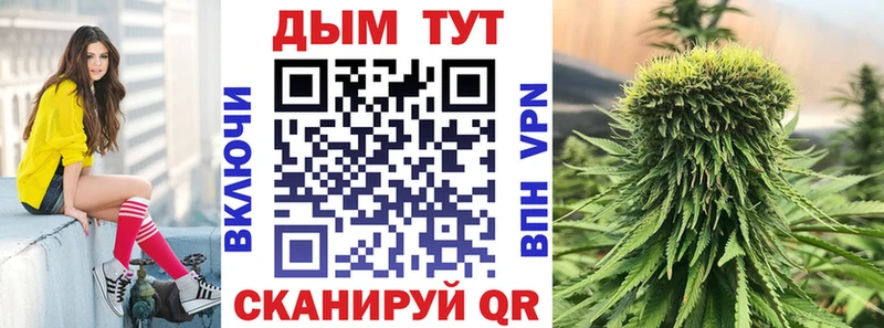 как найти   Михайловск  Бошки Шишки семена 