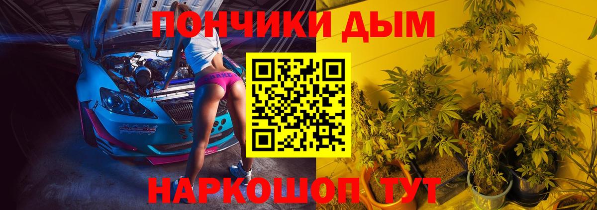 Каннабис марихуана  Канабис ГИДРОПОН  Михайловск  Бошки Шишки White Widow  Конопля планчик 